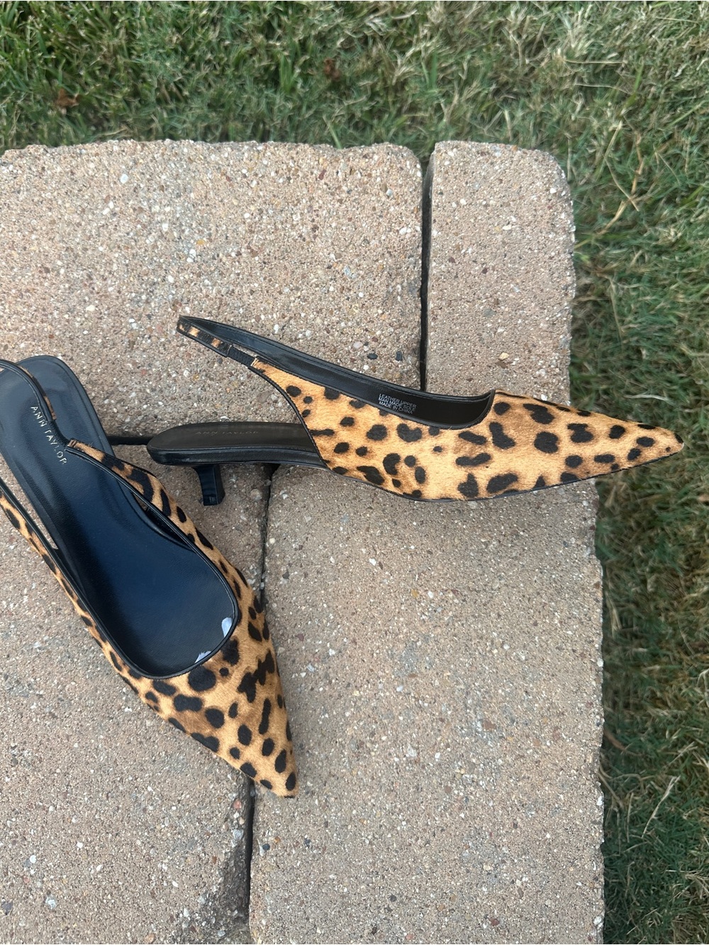 Ann Taylor leopard print kitten heel sling back pumps calf hair women's size 9